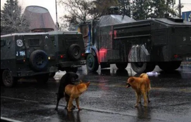 He gave absolutely zero fucks. Here he is making love to his lady friends in front of the cops’ paint splattered tanks.