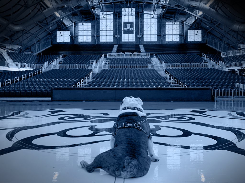ButlerBlue3's tweet image. As mascot, I sought to bring joy to the Butler Community and all whom I met. Today, as I retire, I wish I could do that now more than ever. I sense we could use some joy right now. Even in retirement, I’ll try.

For now, thanks for everything, @butleru.

#OneLastTrip | #GoDawgs🐶