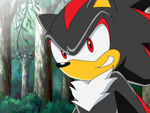 Sonic X Screencaps on Twitter  Shadow the hedgehog, Sonic and shadow, Sonic