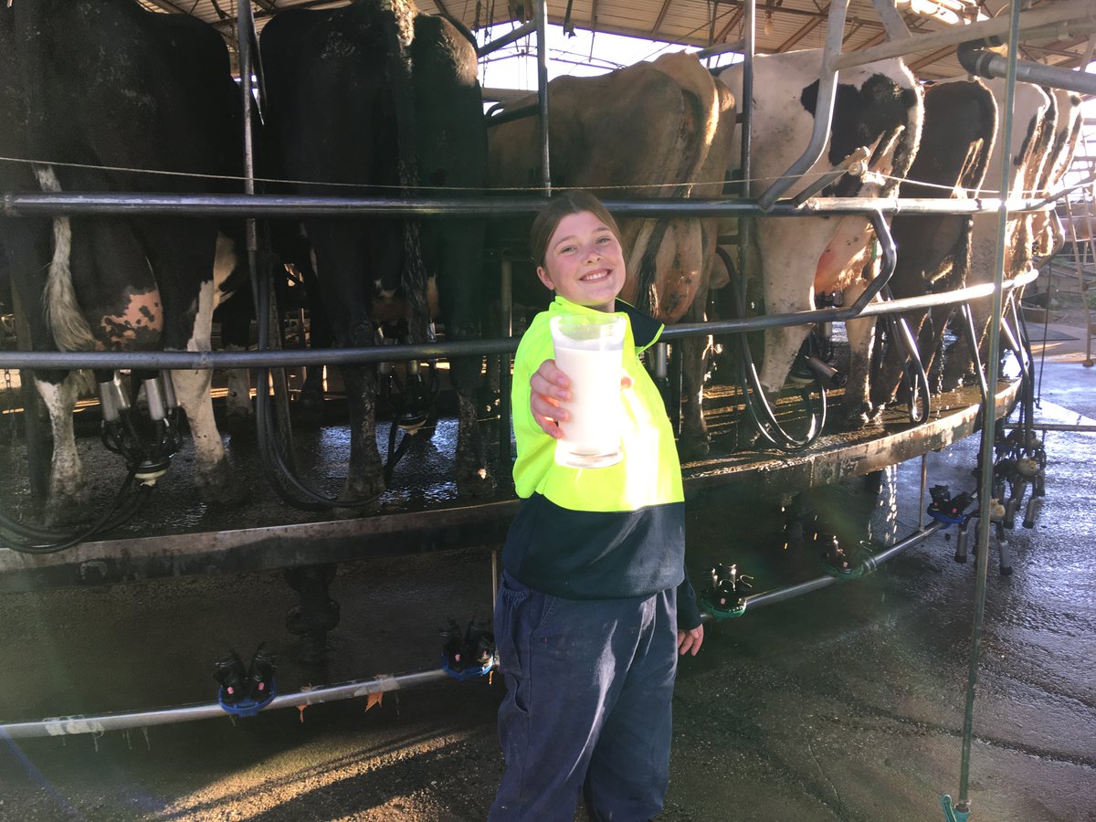 Gardiner Foundation tweet media