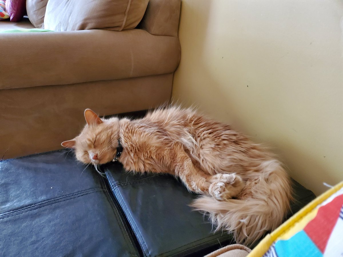 Even I need rest after bird and squirrel watching.