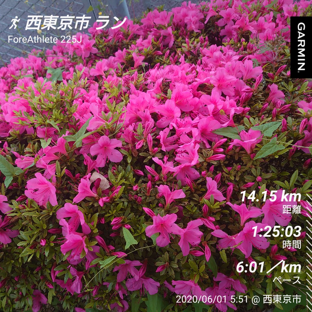k_kazu2's tweet photo. #garmin #beatyesterday https://t.co/b5RqcOtN62