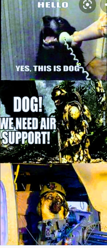 almondrocks6372's tweet photo. #callofduty #dogsinaction this is something https://t.co/VMJzCLHHyD