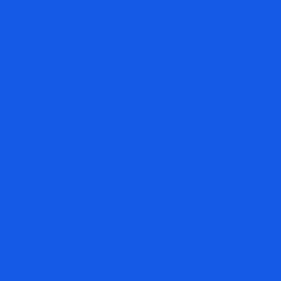 WhichColorIs's tweet image. rgb(21, 90, 231)