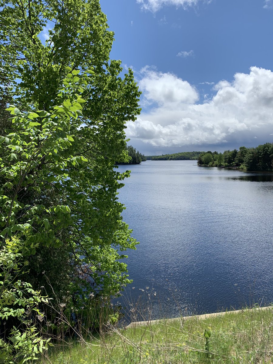 The mosquitos and black flies may be awful but the greenery sure is beautiful.