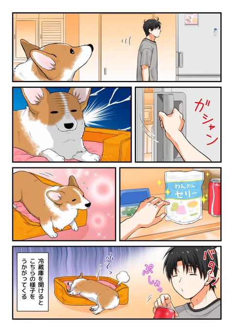 期待する犬 