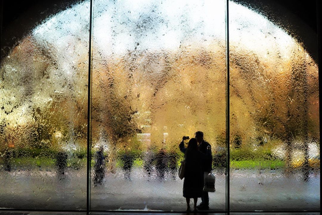 We’re excited to announce we’ll be reopening the NGV on Saturday 27 June.  Read more here: ngv.vic.gov.au 
We can’t wait to welcome you back!

#NGVEveryDay
•
Regram: @melroselanescapes