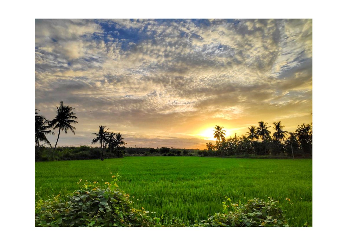 pp_pixs (@pp_pixs) / Posts / X