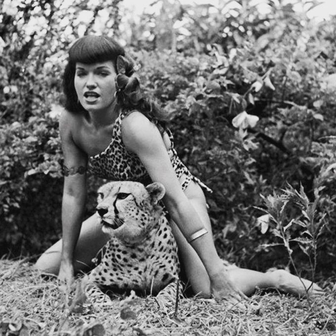 Wild ones 💞😽🐾
.
#bettiepage #bunnyyeager #pinup #junglebettie #wildlife #pinupgirl #cheetah #wildones