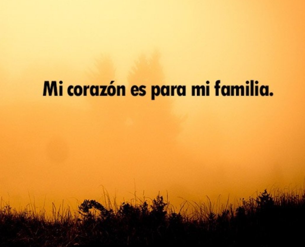 Me dijo un amigo... "La fortaleza e incentivo la encuentro en el núcleo familiar.  Estoy convencido que es nuestra principal arma"