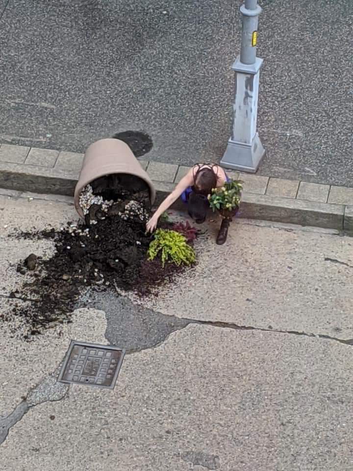 eternapancito's tweet photo. Me encanta esta chica que en medio de los saqueos aprovechó a llevarse plantitas jsjsjs era @nocioncomun https://t.co/EV5dh5xXaq