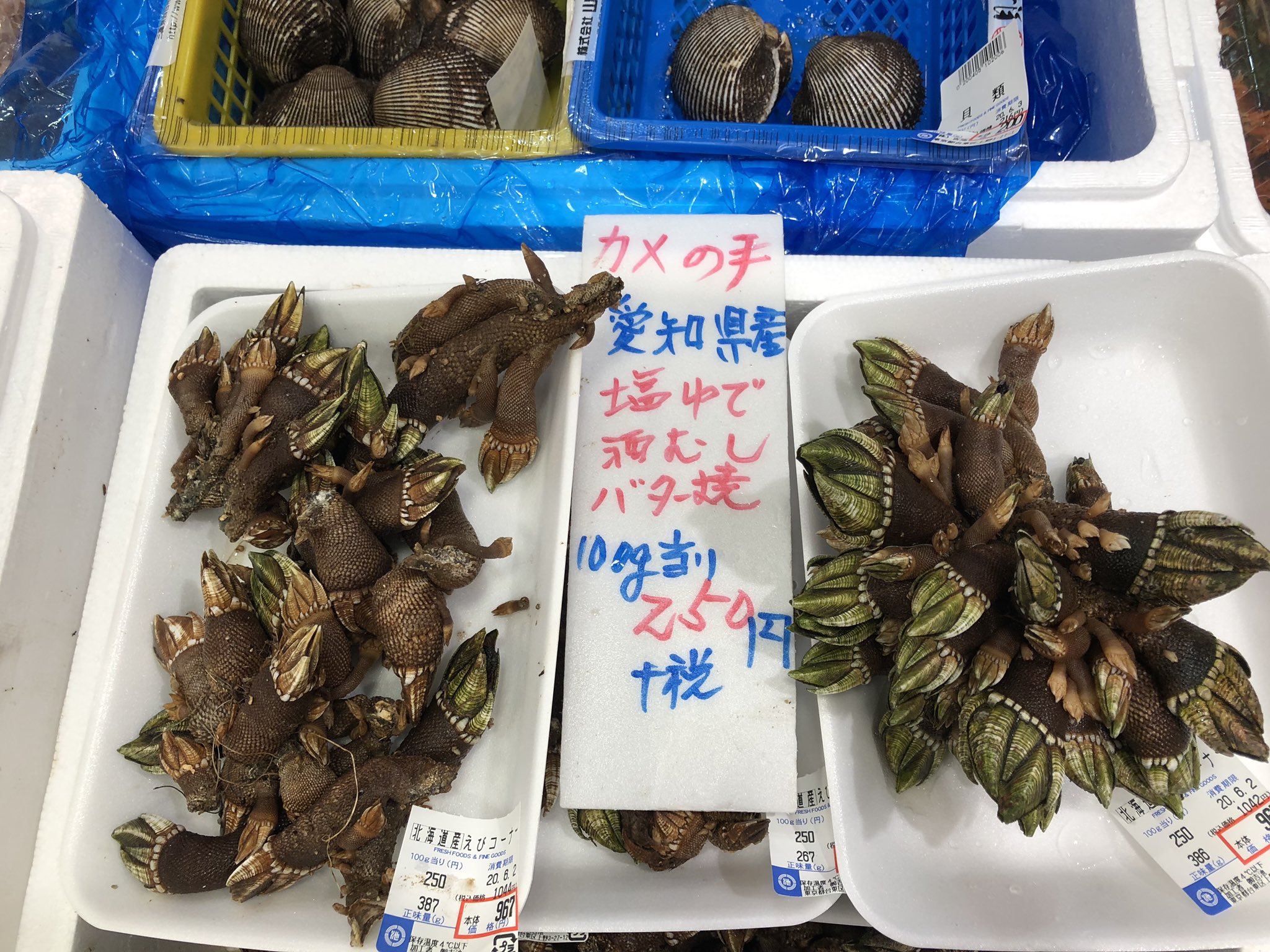 吉池 愛知県産 亀の手入荷 亀の手は 貝ではなく 甲殻類で 海老のような カニのようなお味 超 美味です T Co Rnycjos2cy Twitter