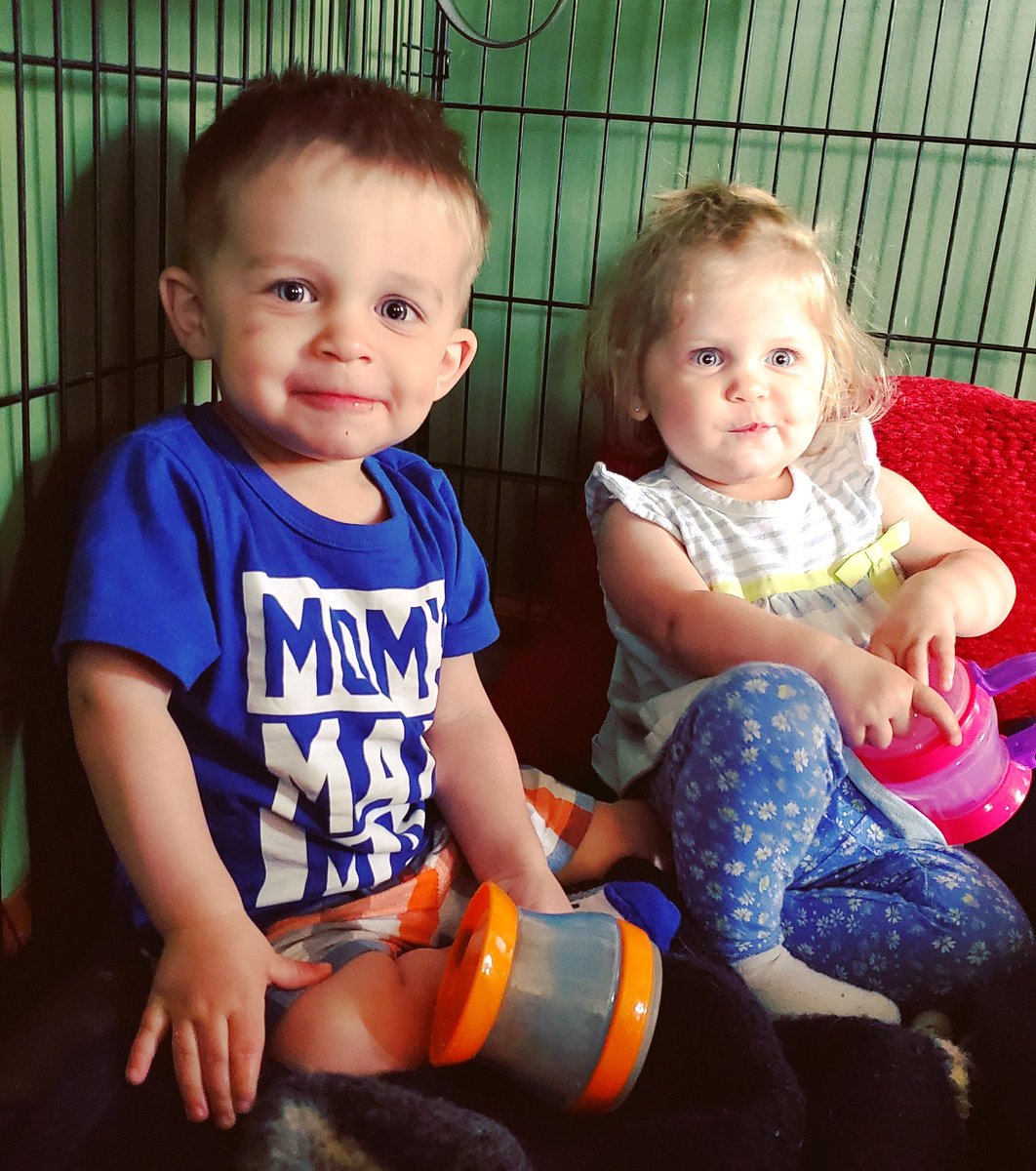 AprilO329's tweet photo. My 2,000th tweet needs to be my babies, for sure. ❤ https://t.co/umvf3VLtxN