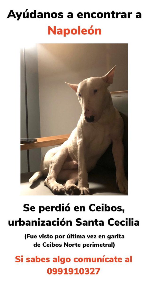 Ish Valverde G tweet media