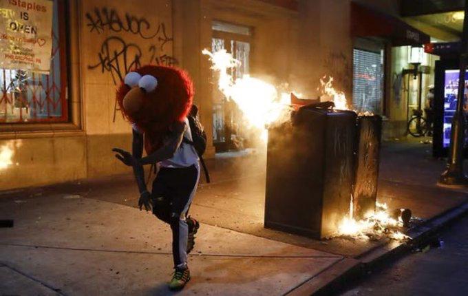 PatoYlG's tweet photo. Elmo protestando, ni en mis más raros sueños esperé ver esto.

#LegionHolkApoyaAnonymous https://t.co/qzq4Hu8he4