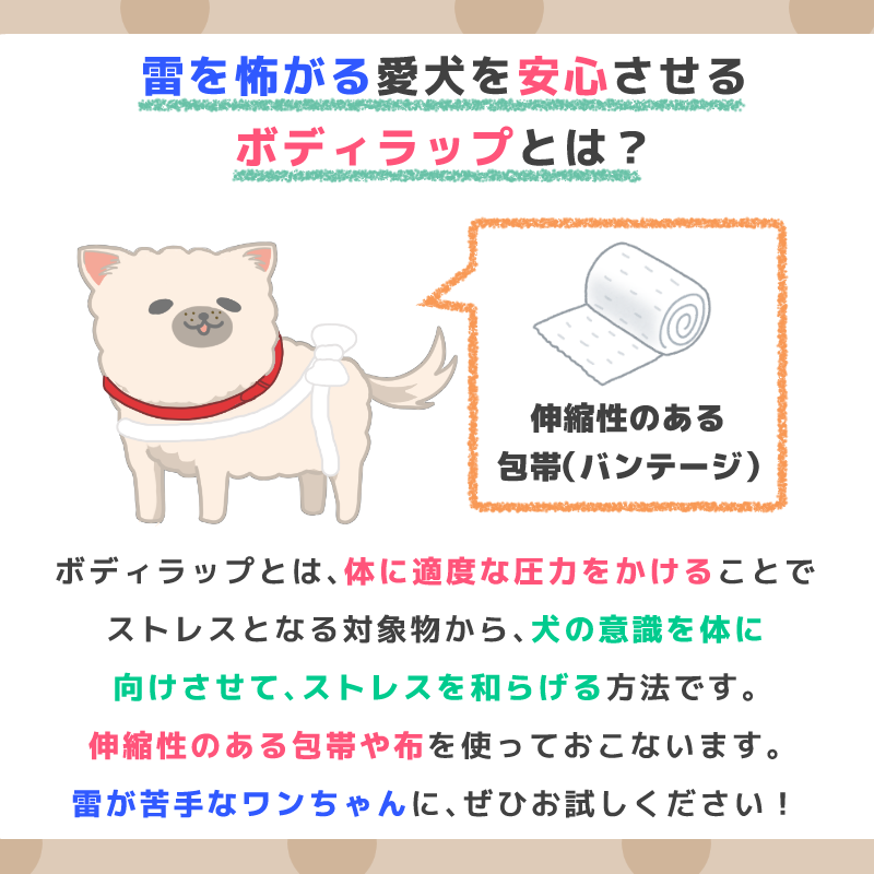 ট ইট র ペットフード販売士 ドッグトレーナー ゆき 雷を怖がる愛犬には ボディラップ がおすすめ 体に適度な圧力をかけることで 犬の意識をストレスの対象物 雷や花火 から自分の体に切り替えてストレスを和らげる効果があります 梅雨 台風 夕立と雨