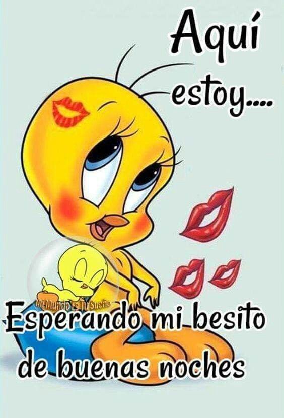Diego Cardenas on Twitter: Diego Cardenas on Twitter: