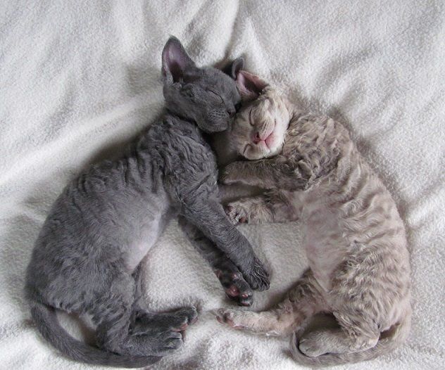 Sunday vibes https://t.co/5G2zHMUk8g