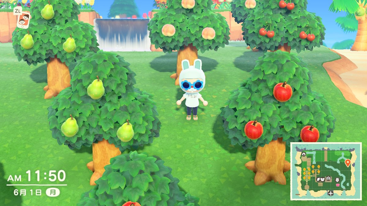 ぽよ さて 島開拓のために まずは木の伐採を始めます めんどくさい あつまれどうぶつの森 あつ森 島クリエイター どうぶつの森 Animalcrossing Acnh Nintendoswitch