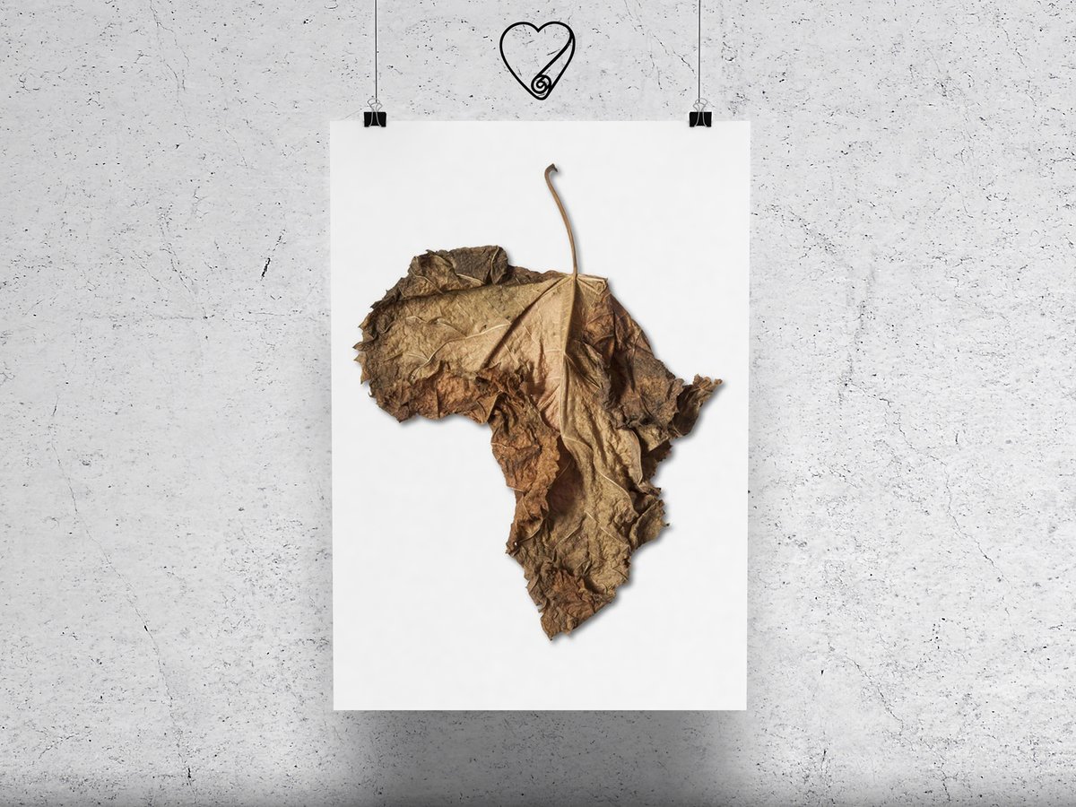 DCCEcuador's tweet photo. Tomaso_marcolla_Africa_Italy
.
🔗♥️https://t.co/rXNzwMXpIC
.
#DiseñadoresConCorazón #DesignersWithHeart
😊✊💬❤️🌐 https://t.co/SN61UzzZiR
