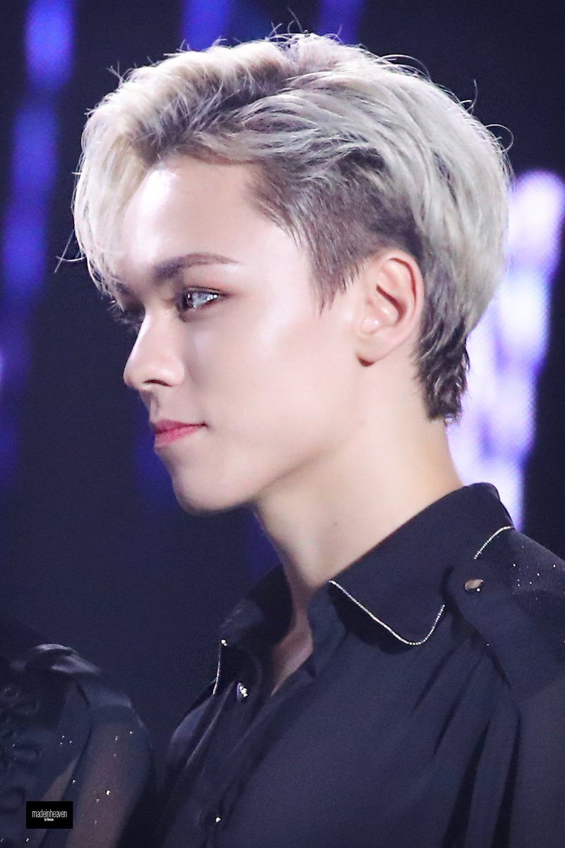 Vernon's GOD-TIER visuals─ a thread @pledis_17  #세븐틴  #버논  #VERNONcr: madeinheaven_vn