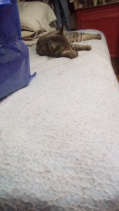 Ellie https://t.co/xCaeurXDcl<a href="/tag/newprofilepic"class="tags"><span>#newprofilepic</span></a>