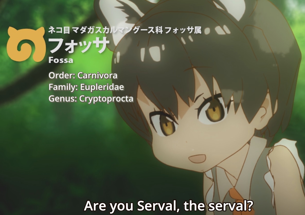 Naw she's Serval, the stork, you utter dork