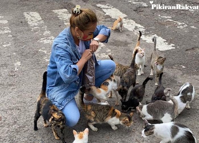 Imbas Pasar Antri Cimahi Ditutup, Banyak Kucing yang Kelaparan bit.ly/2ZWGkE2 #infoBDG