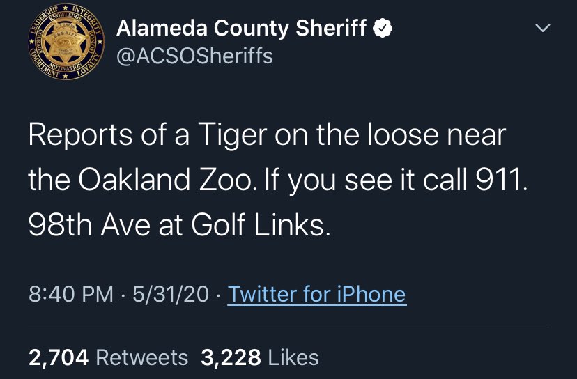 Scrolling through the feed and this caught me off guard....  #alameda  #tiger  #tigerking  