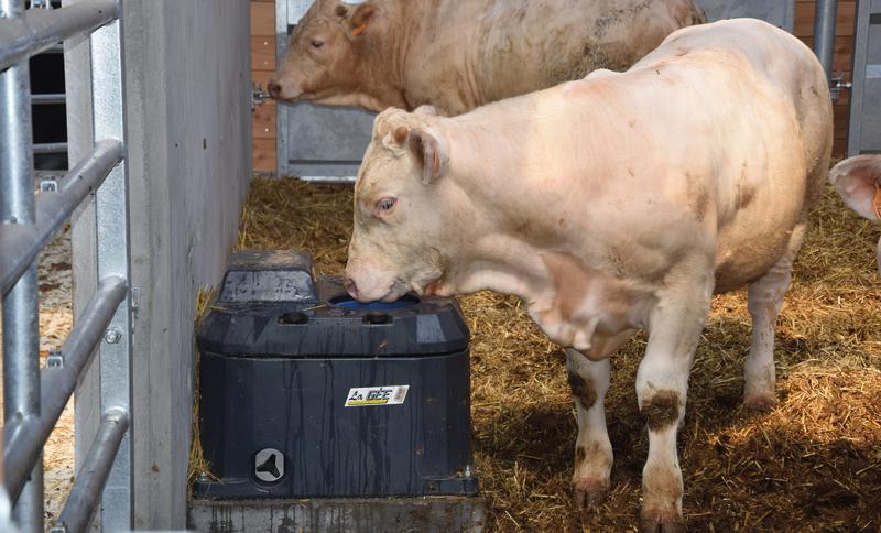 Réussir Bovins Viande tweet media