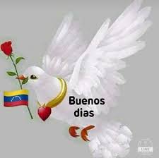 @damafielyo @Goicoechea12G @amelia74698445 @avelinosalazar7 @psuv36 @mjtrezza1 @Marisol15m @LucenaVilma @AndryRivero20D @hugocary @BELEN267248505 @kermys4 @GarciaYaru @mercedeslouzaod @teran582 @Carmelinavilch4 @Mercede07316003 #TROPA Buenas Noches @damafielyo #FelicesSueños Camaradas @SimnGuzmn7 @CarnetDLaPatria @EscalonaDeivys @Ana_RoGV @oliveros561 @taniasandinista @bbchavista1 @teran582 @yasmi70 @1412Yolis @teamocoro_14 @yngrid1962 @bellallanera2 @BELEN267248505 @irr644 @YNHallak @Marisol15m @zao25