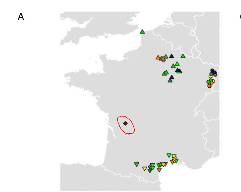 Nemets Twitterren Hunter Gatherers In France Iberia Prior To The Arrival Of The Farmers Were A Mix Of Magdalenian Hunter Gatherers Modeled By Goyet Sample Who Ruled Iberia In 15 000 To 10 000