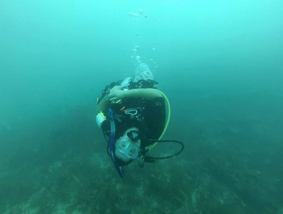 Mo Turner, PhD tweet media