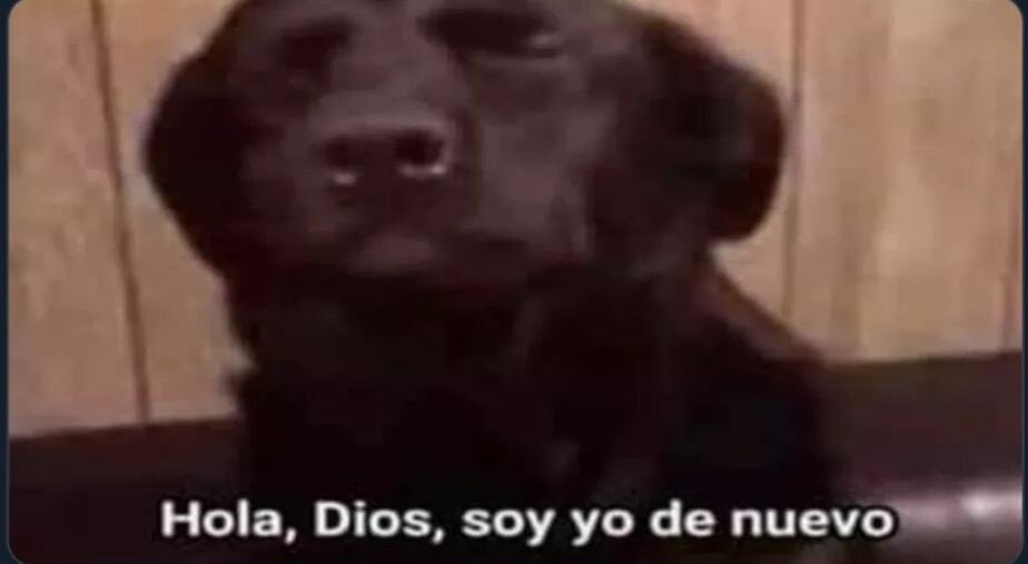 LomitoCuraDepre's tweet image. Cuando ves lo de la Casa Blanca, Pizza Gate, Anonymous, el Vaticano y el co-vid19