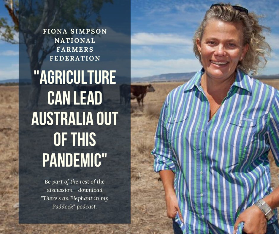 There's An Elephant In My Paddock (@elephantpaddock) on Twitter photo "Agriculture can lead Australia out of this pandemic" - <a href="/NationalFarmers/">National Farmers' Federation</a> President <a href="/afsnsw/">Fiona Simson</a>..but how you'll have to download our latest COVID-19 episode. <a href="/jamesjumbuck/">James Walker</a> <a href="/rfcsnq/">RFCSNQ</a> "Agriculture can lead Australia out of this pandemic" - <a href="/NationalFarmers/">National Farmers' Federation</a> President <a href="/afsnsw/">Fiona Simson</a>..but how you'll have to download our latest COVID-19 episode. <a href="/jamesjumbuck/">James Walker</a> <a href="/rfcsnq/">RFCSNQ</a>