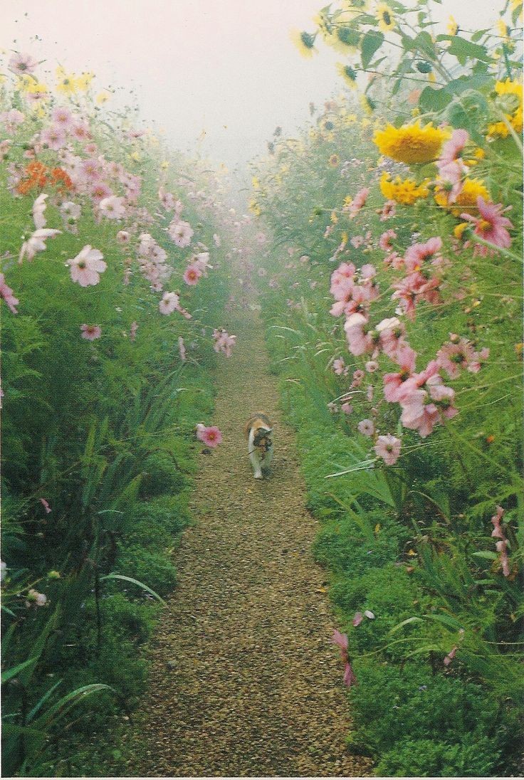 💦Nikita 🌼 (@nikolas_112) on Twitter photo 