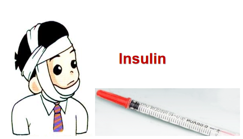 ctnsd_editor's tweet photo. #CTNSD [Study Protocol] Intensive versus nonintensive insulin therapy for hyperglycemia after traumatic brain injury: study protocol for a randomized controlled trial
#braininjury #hyperglycemia #insulin

https://t.co/bTRHDc7vgy https://t.co/EYgQuVcwmo