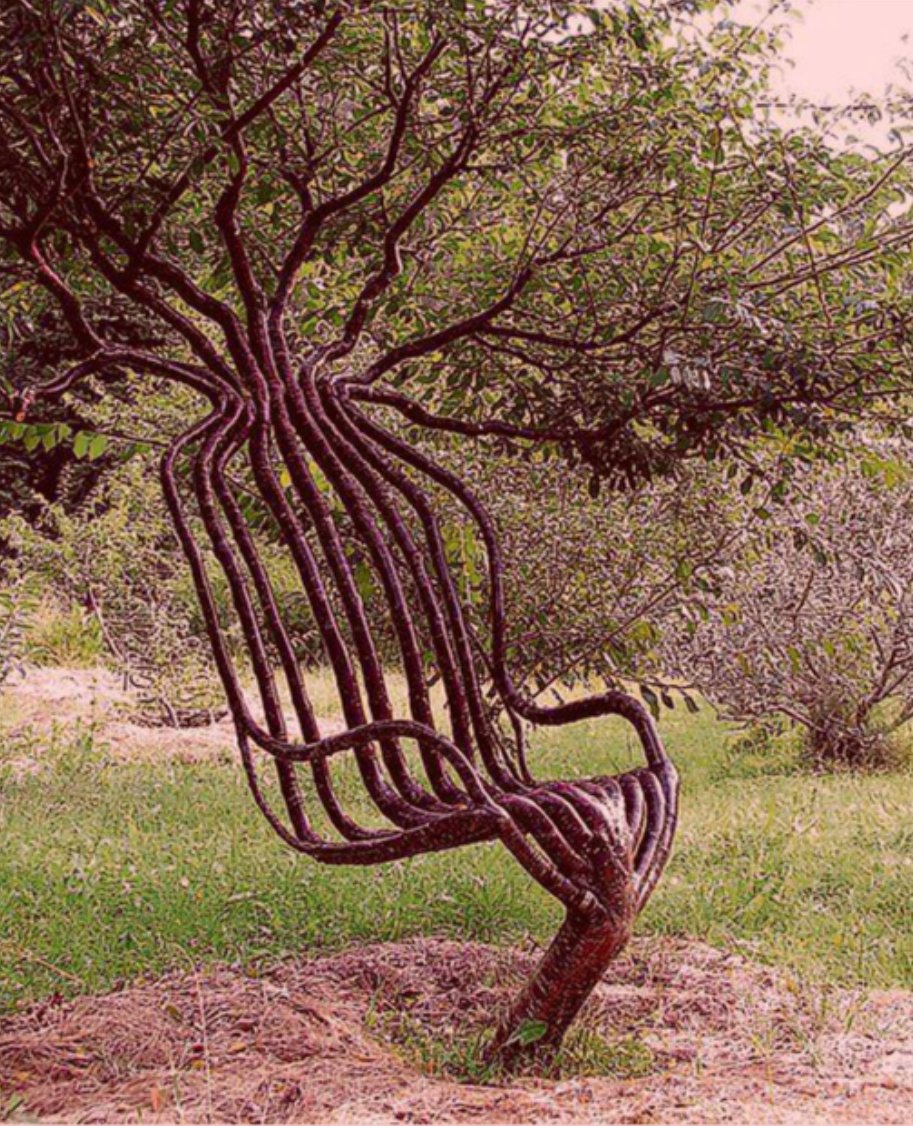 LakelandPlants's tweet image. Happy Monday morning all! Why don’t you have a seat in the shade. A truly unique tree right here.🌳 #cooltree #growinglife #lakeland