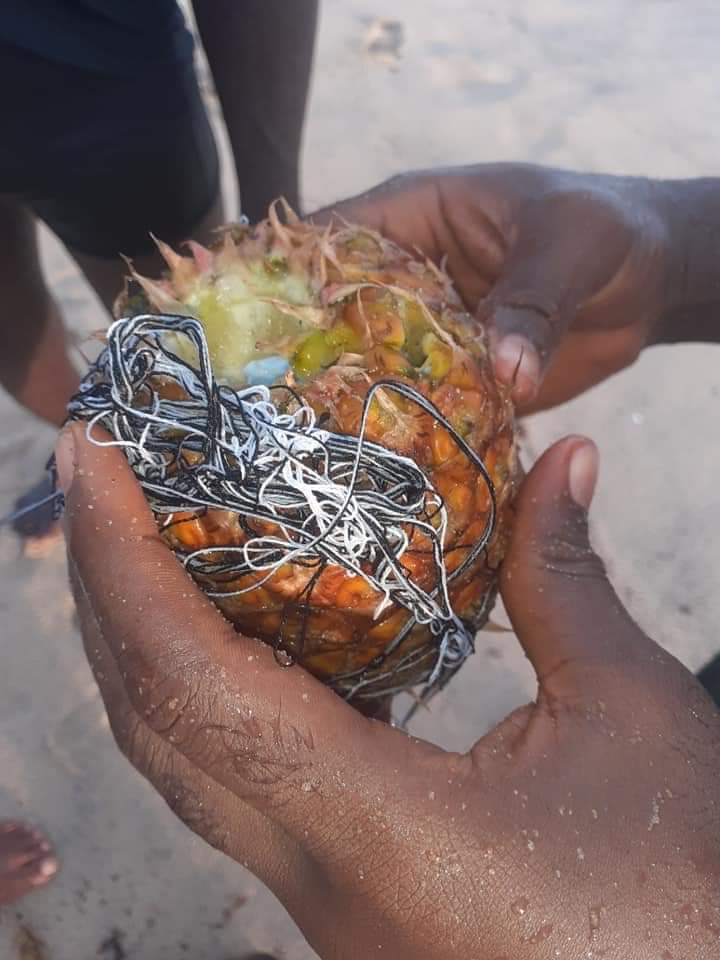 animolenikun's tweet image. Things we see on the Atlantic shoreline. Pictures of a guy and a lady placed in a pineapple &amp;amp; bound. Voodoo? Love charm? Some sweet juicy love is about to turn very bitter innit?

#copiedpost