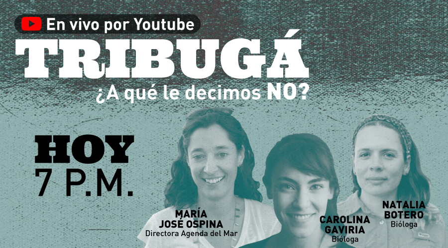 ParqueExplora's tweet photo. La deliberación pública sobre temas ambientales y la participación de las comunidades son cada vez mayores. ¿Quiénes son las tres mujeres que conversarán hoy lunes a las 7 pm sobre el Golfo de Tribugá, en el Chocó?  

https://t.co/KwZvjIAXAI https://t.co/wr8fARSfxR
