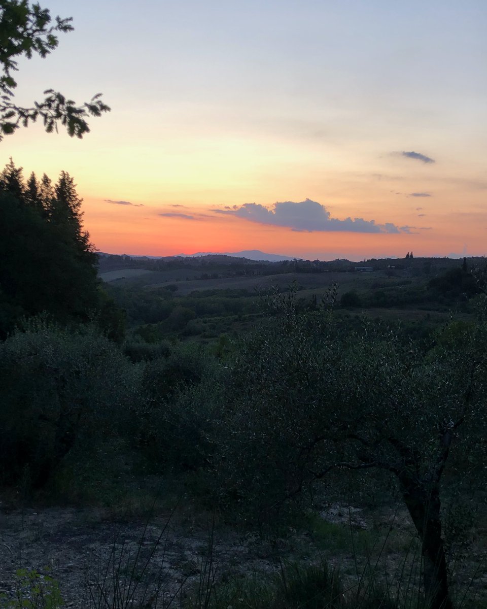 VignanoVineyard's tweet photo. #summernights #sunsets #vineyardviews #endofday #vineyardshots #specialviews #vineyard #italianwines #organicwines #lowinterventionwines #zerocompromise #vino #realwine #vinobiologico #organic #organicwine #biowein #artisanwines #estatebottled #vignano https://t.co/VkYG8sX5ih