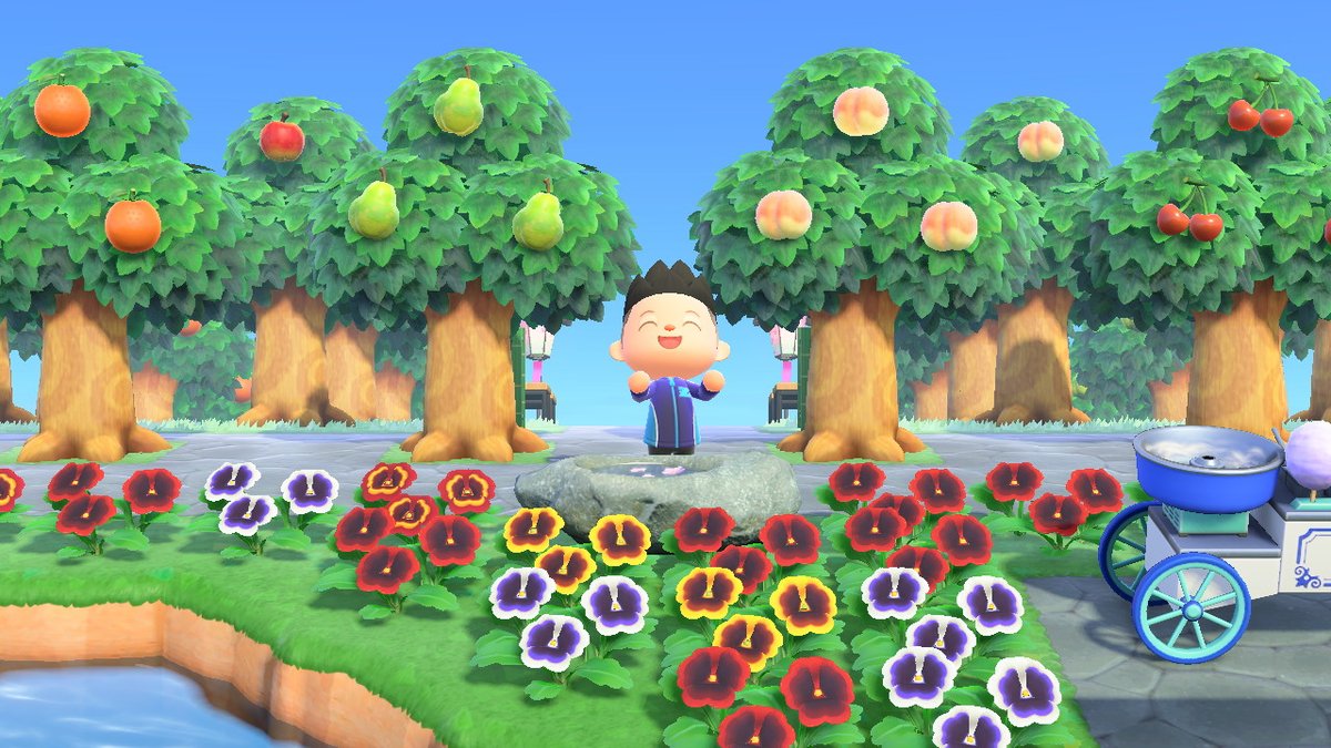 Stephen Fossa tweet media