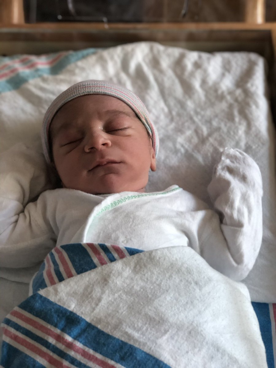 Alexia DeLuca tweet media