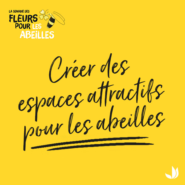 Truffaut's tweet image. Truffaut s'engage pour la biodiversité et vous accompagne pour protéger les abeilles 🐝 Du 12 au 28 juin, retrouvez nos conseils et dites #OuiAuxAbeilles ! 👉 bit.ly/OuiAuxAbeilles…