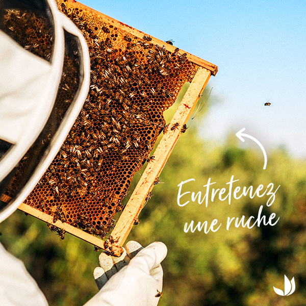 Truffaut's tweet image. Truffaut s'engage pour la biodiversité et vous accompagne pour protéger les abeilles 🐝 Du 12 au 28 juin, retrouvez nos conseils et dites #OuiAuxAbeilles ! 👉 bit.ly/OuiAuxAbeilles…