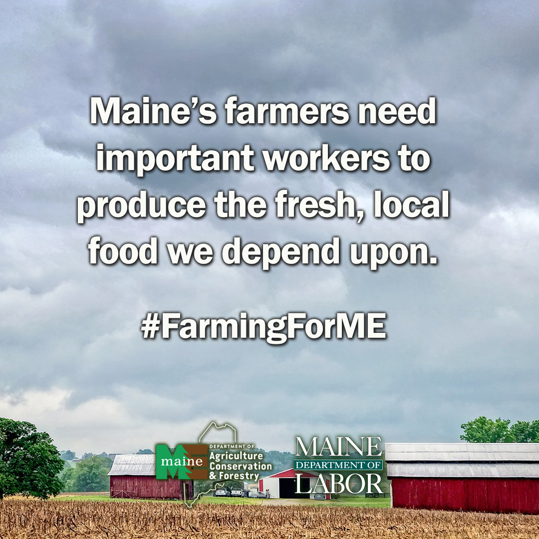 Let’s work together to support Maine’s farmers and rural
communities during these unprecedented times.
#FarmingForME is a grassroots effort created to connect
Mainers with available jobs in agriculture. Learn more @
joblink.maine.gov.

#nofarmsnofood #eatlocal #maine