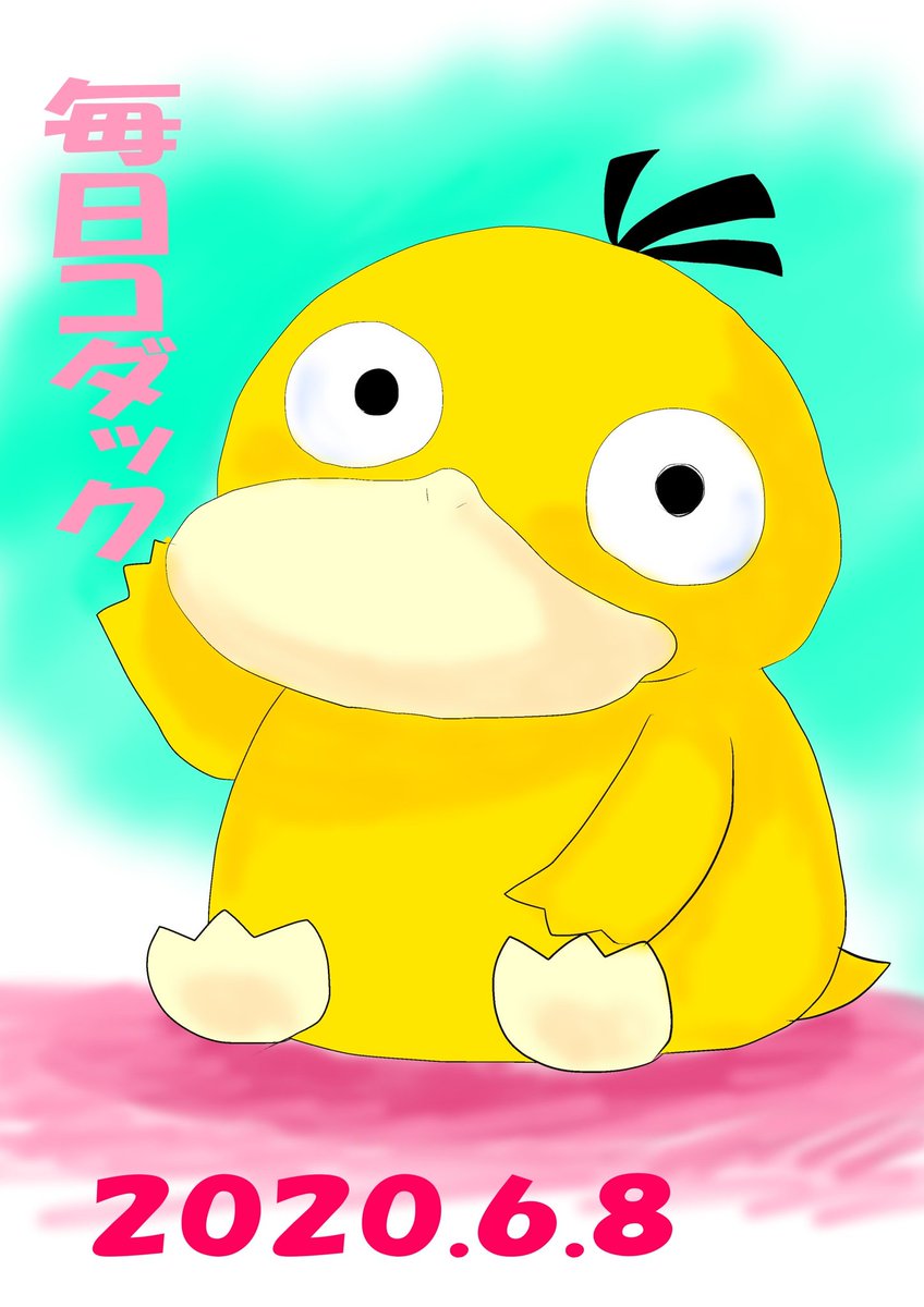 コダックです！ ご主人サマお仕事中なので す。 今週末にコダお誕生日