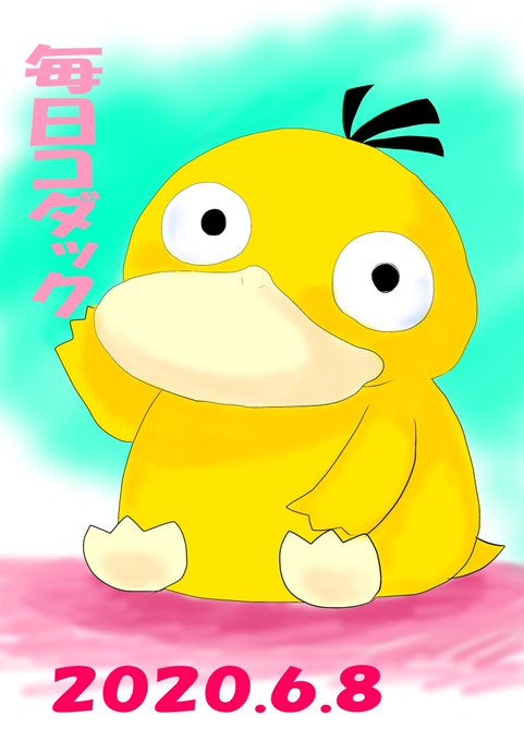 コダックです！ ご主人サマお仕事中なので す。 今週末にコダお誕生日