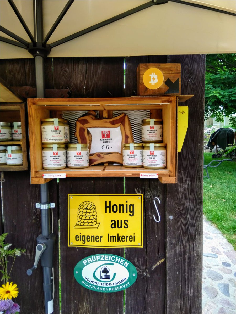 Matthias Steinig ⚡🟩 tweet media