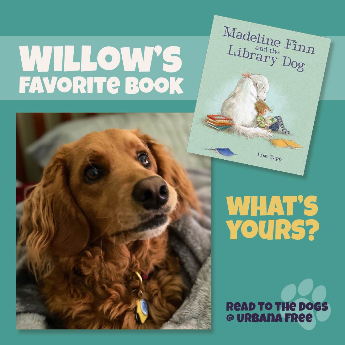 UrbanaFree's tweet photo. Willow's favorite book is Madeline Finn and the Library Dog by Lisa Papp. https://t.co/HAxGRowPgQ What's yours? Share it in the comments! #UrbanaFree #ReadtotheDogs https://t.co/Zr8sFXK7UB